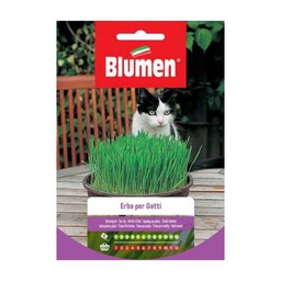 [1999860] Semi Erba Per Gatti Blumen