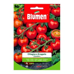 [027275] Semi Pomodoro Ciliegino Di Pachino A Grappolo