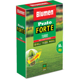 [1940836] Semi Prato Forte Turbo - 1 kg