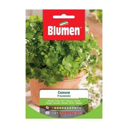 [027271] Semi Prezzemolo Comune Blumen
