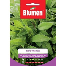 [027322] Semi Salvia Officinalis