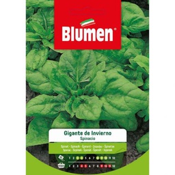 [027266] Semi Spinacio Gigante D'Inverno Blumen