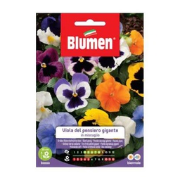 [027807] Semi Viola Del Pensiero Gigante Blumen