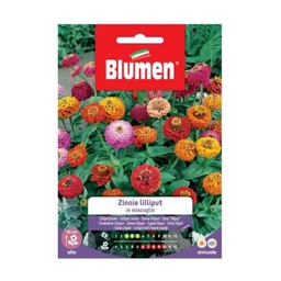 [027299] Semi Zinnia Lilliput Mix Blumen