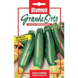 [036423] Semi Zucchino Verde Di Milano