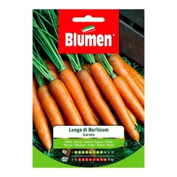 [027293] Semi di carota lunga Berlicum in sacchetto