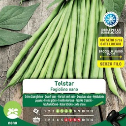 [030520] Semi di fagiolini nani Telstar Borsa Maxi