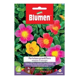 [027304] Semi misti singoli di Portulaca Grandiflora