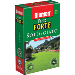 [027356] Semi per prato soleggiato da 1kg.