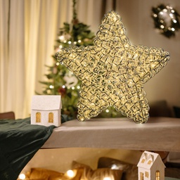 [20100248] Stella ø60cm ATS Silver 100 LED Luci di Natale