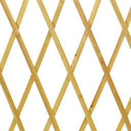 [20042652] Traliccio estensibile in Legno per Piante Rampicanti da Balcone, Terrazza e Giardino 150x200