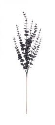 [B0971373] 12x Ramo Jada Nero H75Cm