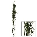 Ramo cactus pendente cm15,2x15,2h114,3