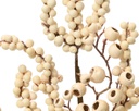 Schiuma Fiore di Bacche L 2 x P 15 x H 60 cm