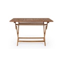 Tavolo da giardino pieghevole rettangolare 120x70x h73 cm