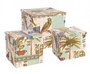 2x Scatola botanica piegh blu 40x40x39h