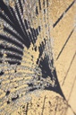 Quadro c-c bold 82.6x4.3x122.6 in tela