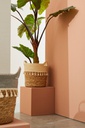 3x Cesta in fibre naturali D.24x25h, D.30x31h, D.32x35h