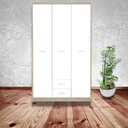 Armadio 118,5x54x196,5 cm 3 ante 2 cassetti