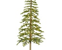 Abete alpino micro LED 50x210 cm verde/bianco caldo