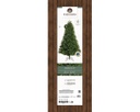 Albero di natale verde 105x180 cm