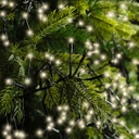 Catena luminosa LED 2040 bianco caldo 19 m