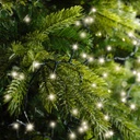 Catena luci LED 60m 3000 lampadine verde/bianco caldo