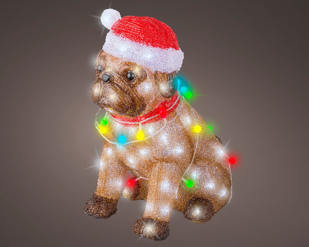 Cane con cappuccio 100 led 34x24x42 cm