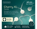 Catena luci 60 LED 9 m 8 funzioni esterni