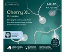 Catena luci 60 LED 9 m 8 funzioni esterni