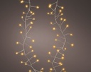 Catena luci LED 100 pz 120cm argento caldo