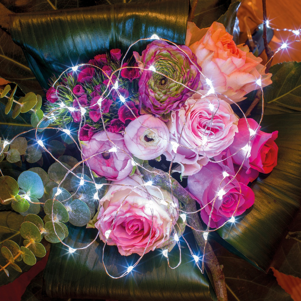 Micro luci LED fisse 195 cm, 40 Led argento