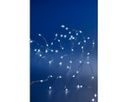 Catena micro luci LED 60 a BO 295cm