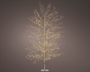 Albero Micro LED fisso esterno 70x150 cm