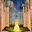 Pupazzo di neve 3D H70cm con MicroLED