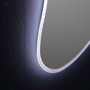 Specchio sagomato 120x90 con cornice led