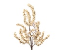 Schiuma Fiore di Bacche L 2 x P 15 x H 60 cm