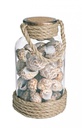 4x Bottiglia conchiglie rope D.10x19.5h