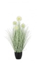 4x Pianta cebollla bianco D.45x75h plastica