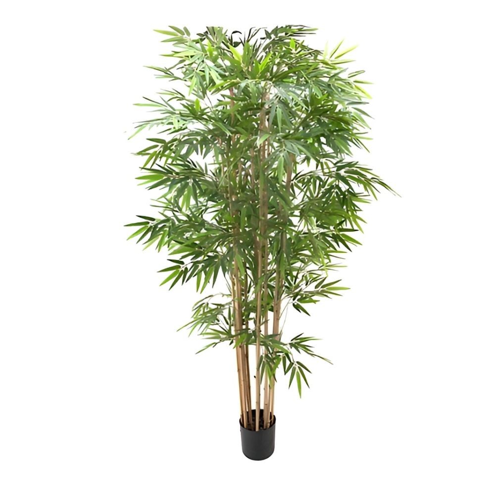 Pianta di bamboo 230 cm x 2480 foglie