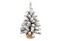 6x Albero Oregon Innevato H60