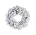 6x Corona Arves Innevato D40