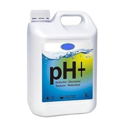 [1905749] Correttore Ph per piscine liquido flacone PH PIU da 5 litri