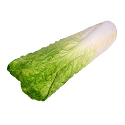 [V1864360000] Decorazione verdura artificiale insalata cmø9h35