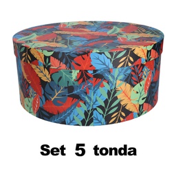 [V1230580000] Scatola  cartone 1-5 piume multicolor tondo cmø40