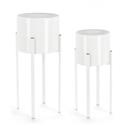 [B0741482] Set2 P.Fiore Ester To Bianco
