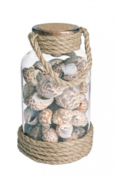 [B0209570] 4x Bottiglia conchiglie rope D.10x19.5h