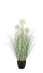 [B0172878] 4x Pianta cebollla bianco D.45x75h plastica
