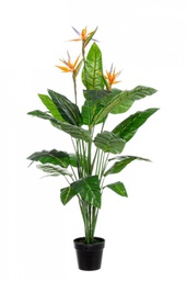 [B0172481] 2x Pianta strelitzia 70x70x150h in plastica