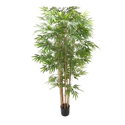 [FZ101134] Pianta di bamboo 230 cm x 2480 foglie